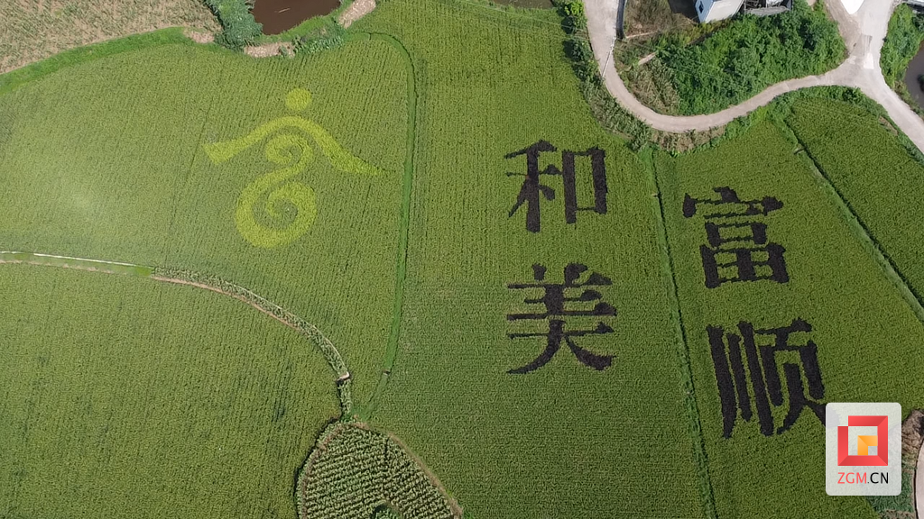 微信图片_20250721124827.png