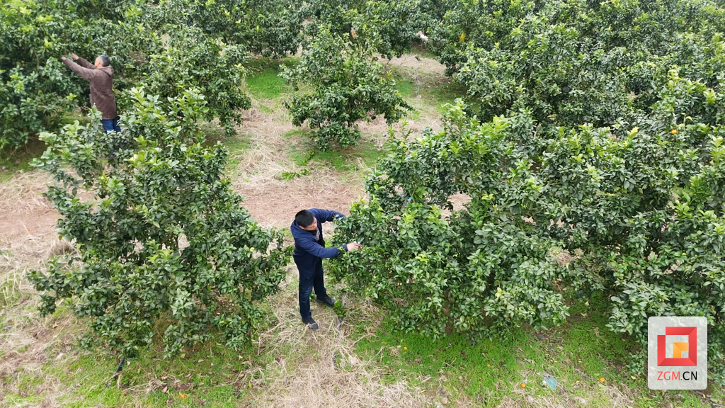 屏幕截图 2026-01-07 230056.png