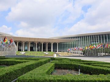 人工智能驱动 绿色低碳领航——第八届进博会将成为观察全球产业升级新窗口