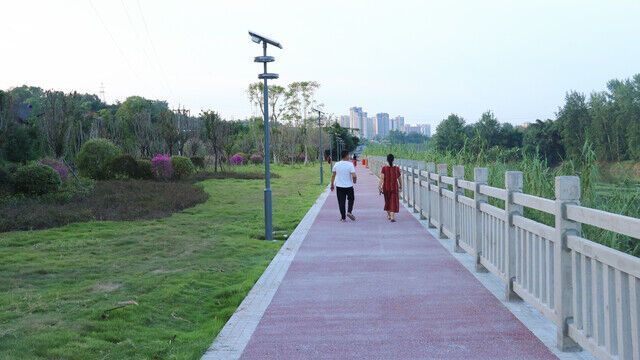 IMG_1896.JPG