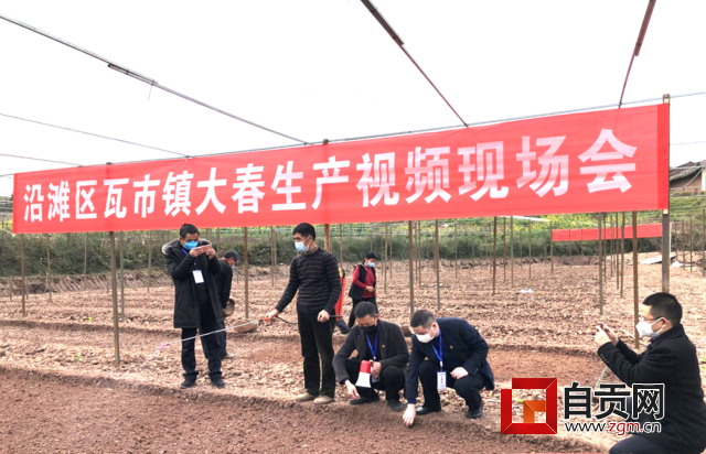 1_WPS图片.png