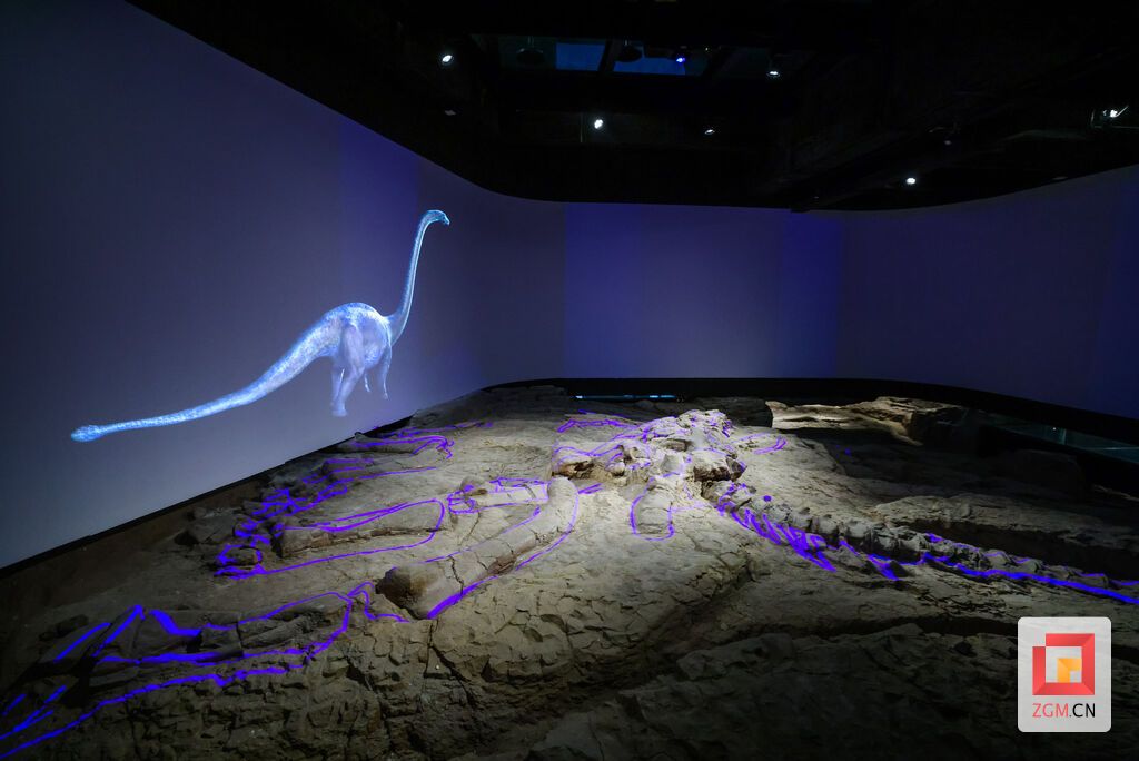 恐龙探秘馆 焦氏峨眉龙遗址.jpg