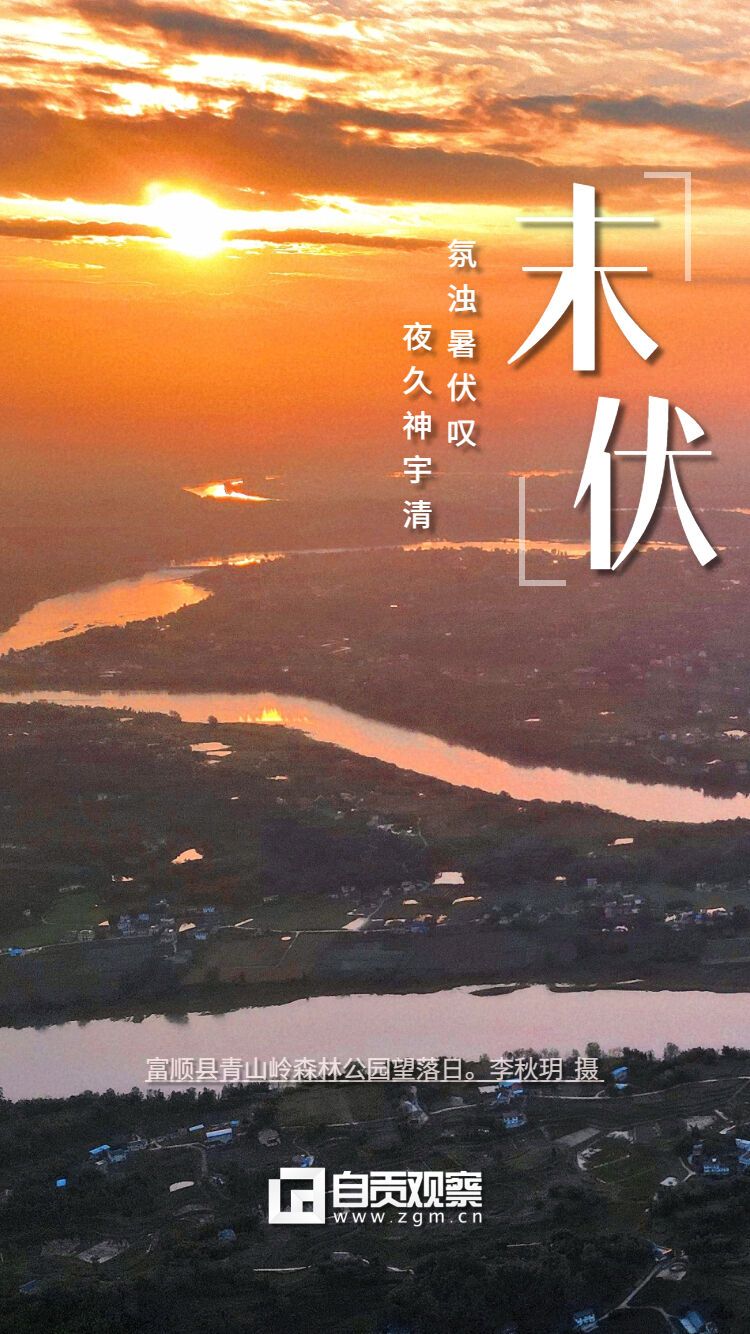 稿定設(shè)計(jì)-2.jpg