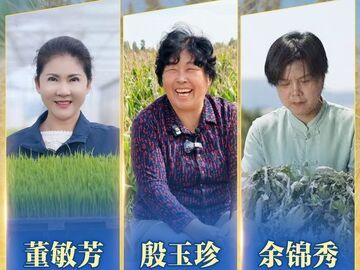 联合国粮农组织表彰“百位巾帼英雄” 殷玉珍等3名中国女性获殊荣