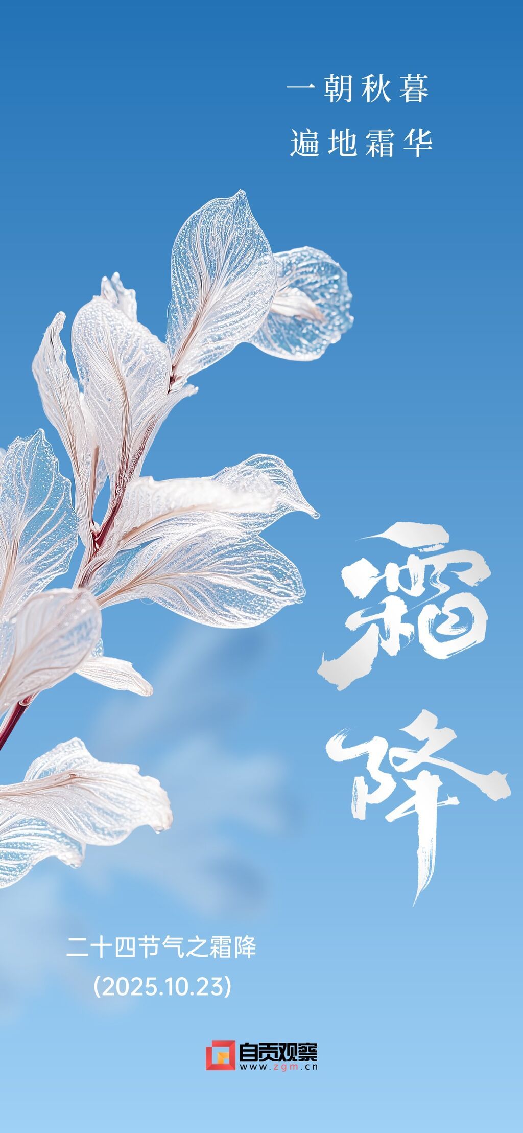 霜降节气祝福清新感实景感全屏竖版海报AIGC.jpg