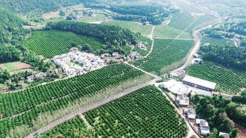 遂宁“四好农村路”助力产业发展。图为射洪市沱明路沿线因路而富。