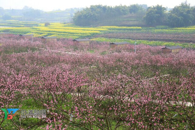 IMG_7693_副本.jpg