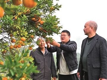 深耕，坚守！一个深丘村庄的蝶变密码与民生答卷