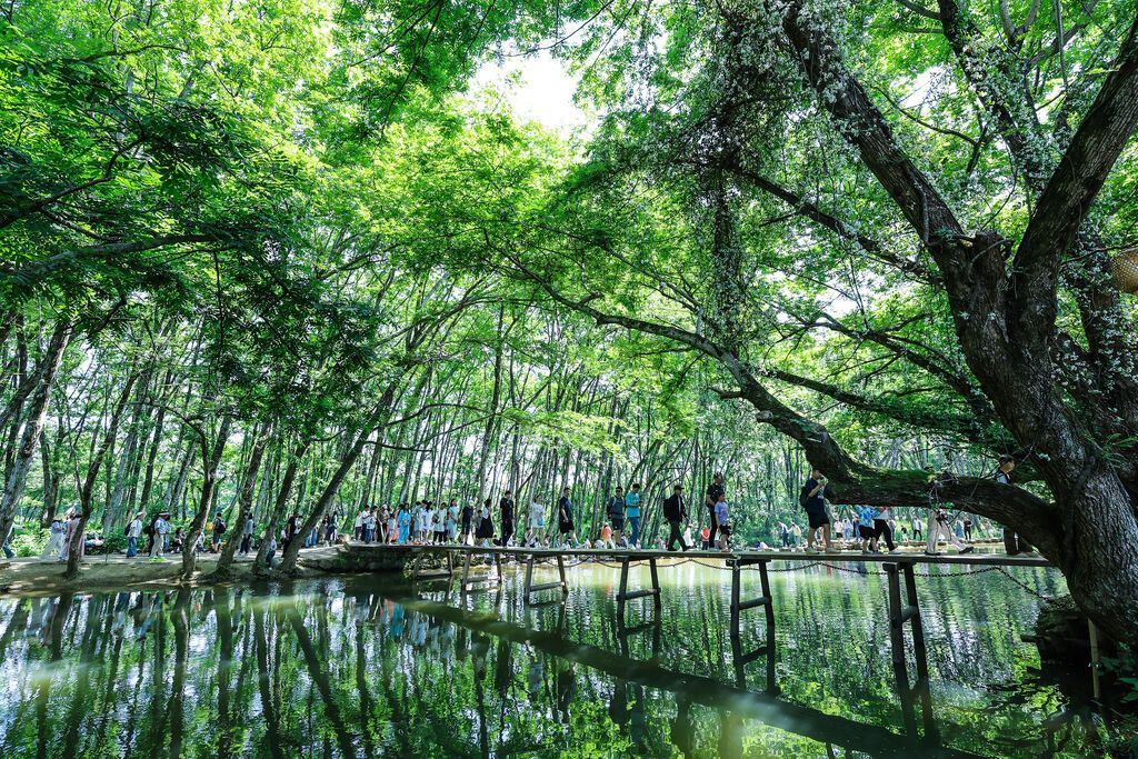 西溪南觅凉 樊成柱摄.JPG