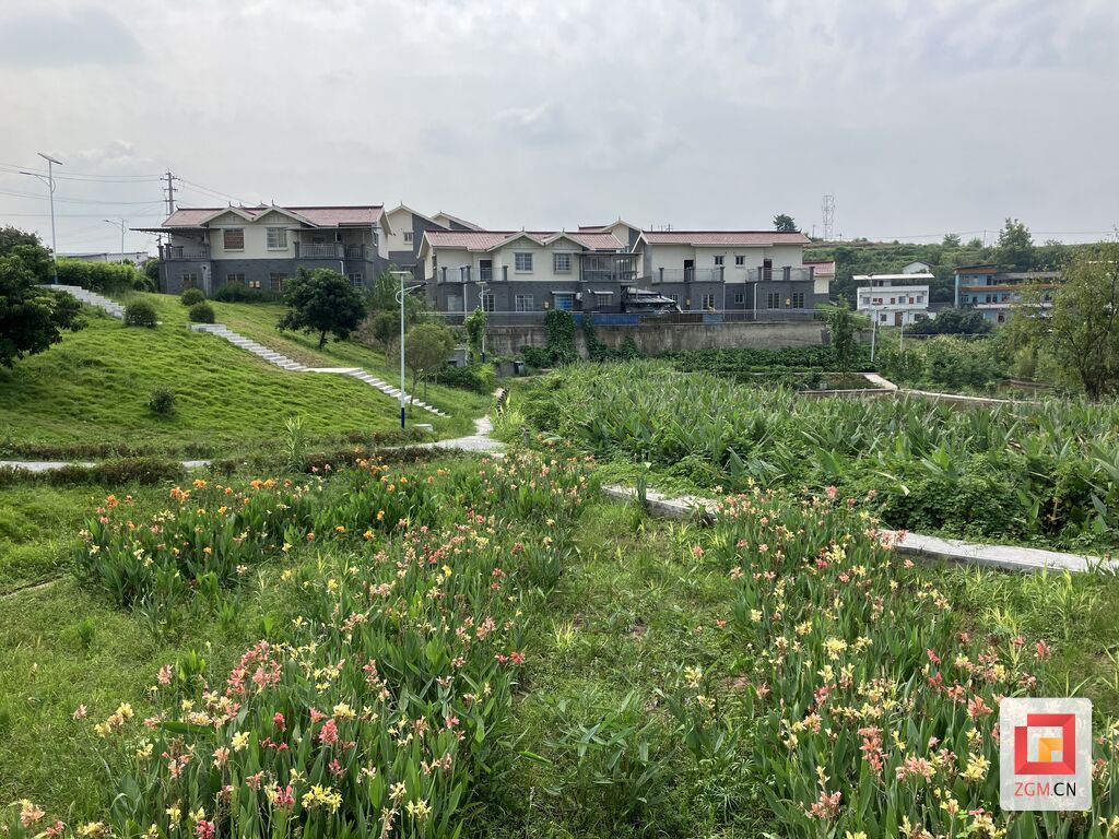 微信圖片_20250825145341.jpg