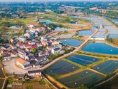 詹井村绽放和美光彩