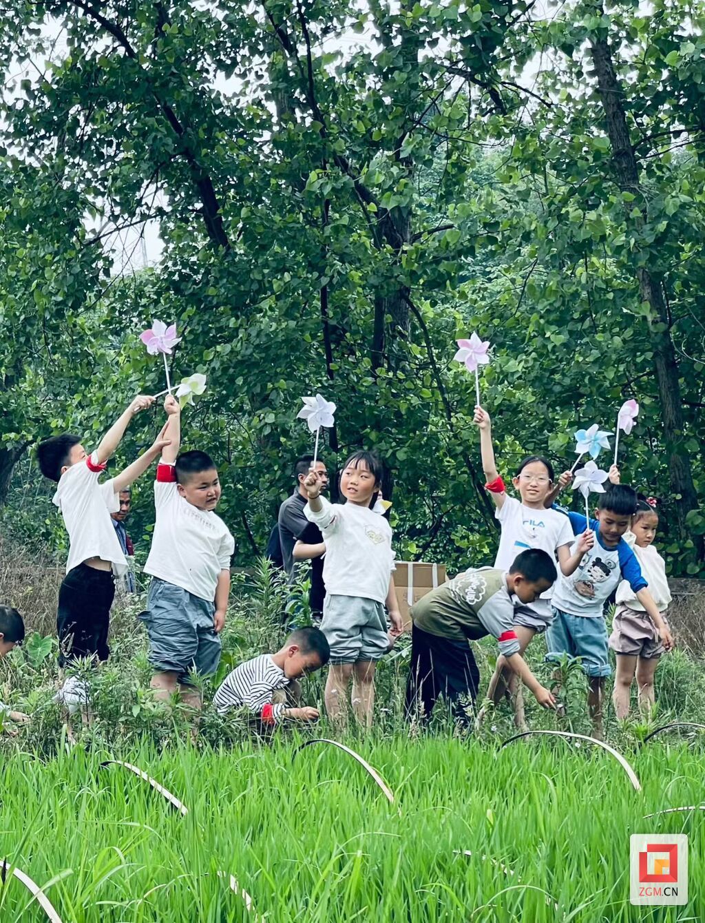 微信图片_20260624140744_310_22.jpg