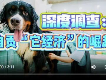 视频|自贡“它经济”全产业链初现 本地产品辐射全国
