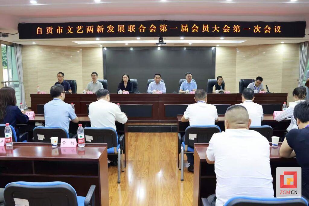 自贡市文艺两新发展联合会成立大会.jpg