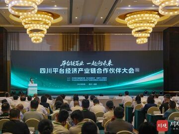 2025四川平台经济产业链合作伙伴大会在蓉举行 施小琳出席