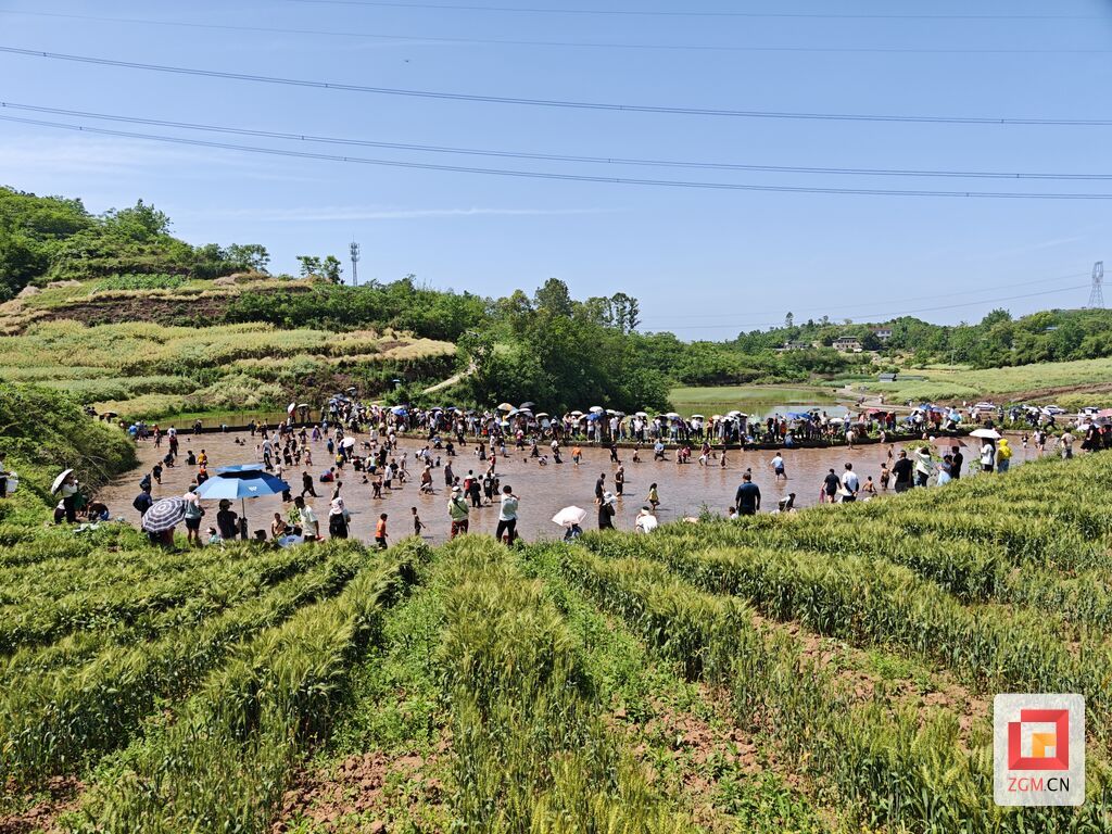 微信图片_20250507114754.jpg