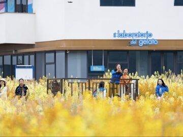 “莫奈花园”藏不住了！来资阳“天府艺谷”赴一场艺术与乡土的浪漫之约