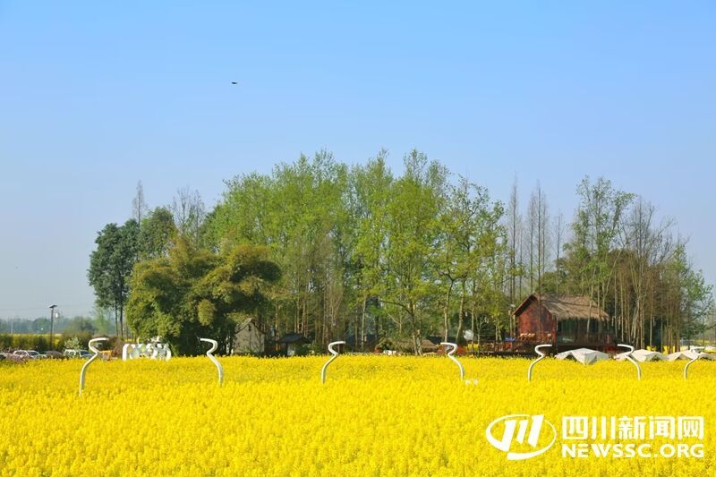 梁景村油菜花田.jpg