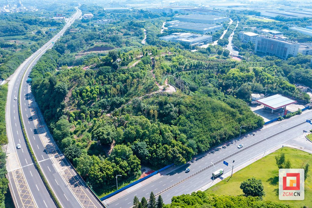 1草堂山山體公園.jpg