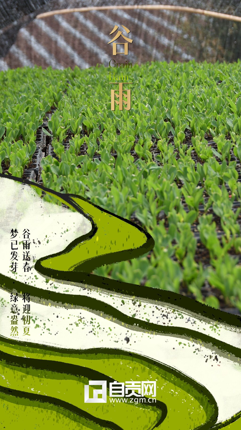 谷雨海報(bào)5.jpg