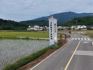 记者说丨一条路的“带货”能力有多强