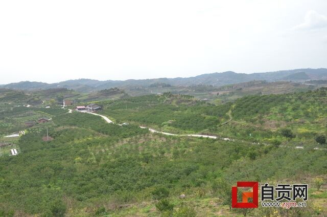 YSC_2888.JPG