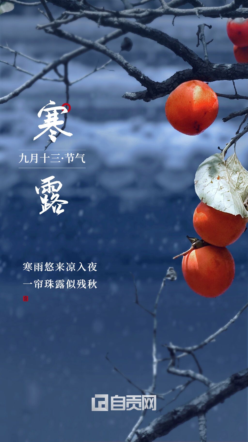 寒露節(jié)氣祝福實(shí)景排版手機(jī)海報(bào) (1).jpg
