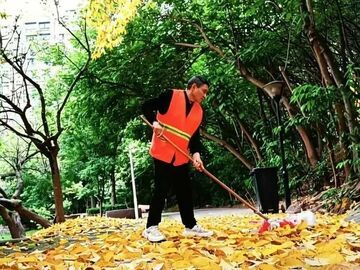 守护城市洁净 自贡全力做好春季落叶清理工作