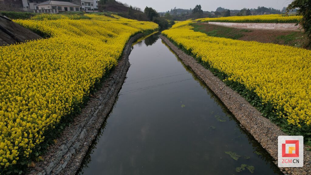 微信圖片_20240315224415.jpg