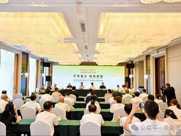 大咖齐聚荣县 献智献策共探陶文化传承与产业振兴路径