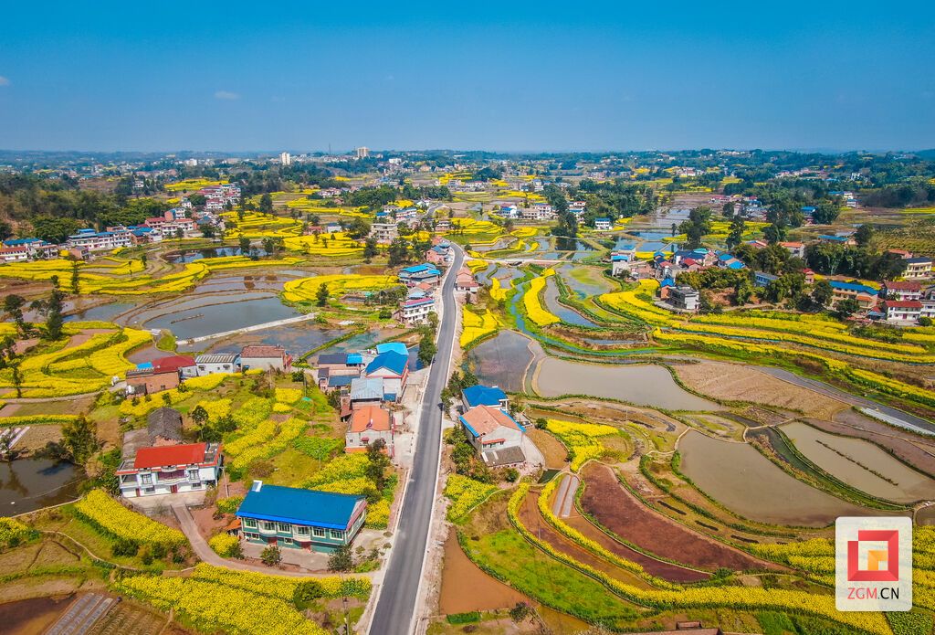 DJI_0279.jpg