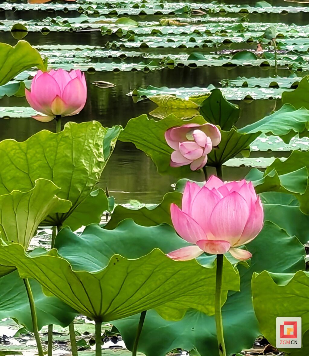 微信图片_20260609104039_392_14.jpg