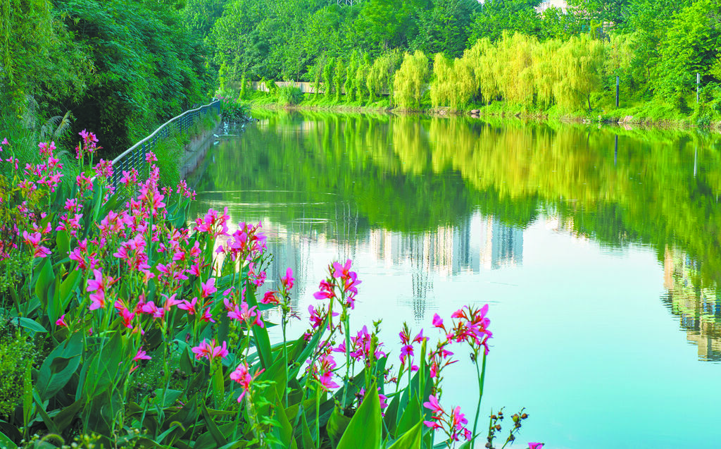 花溪河水清岸绿。.jpg