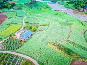 【驻村印记・一线兴农】荣县平坦桥村：五年帮扶路 山村满目新