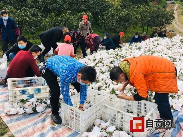 QQ图片20200221193231.jpg