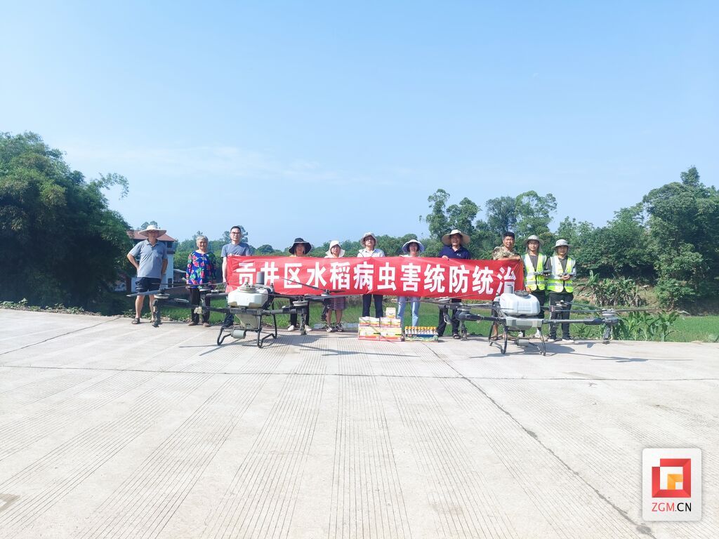 水稻病虫害统防统治.jpg