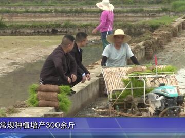 自贡新闻｜自贡：10万台插秧机“奏响”春耕交响曲