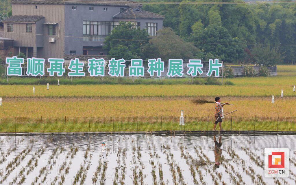 微信图片_20231018165817.jpg