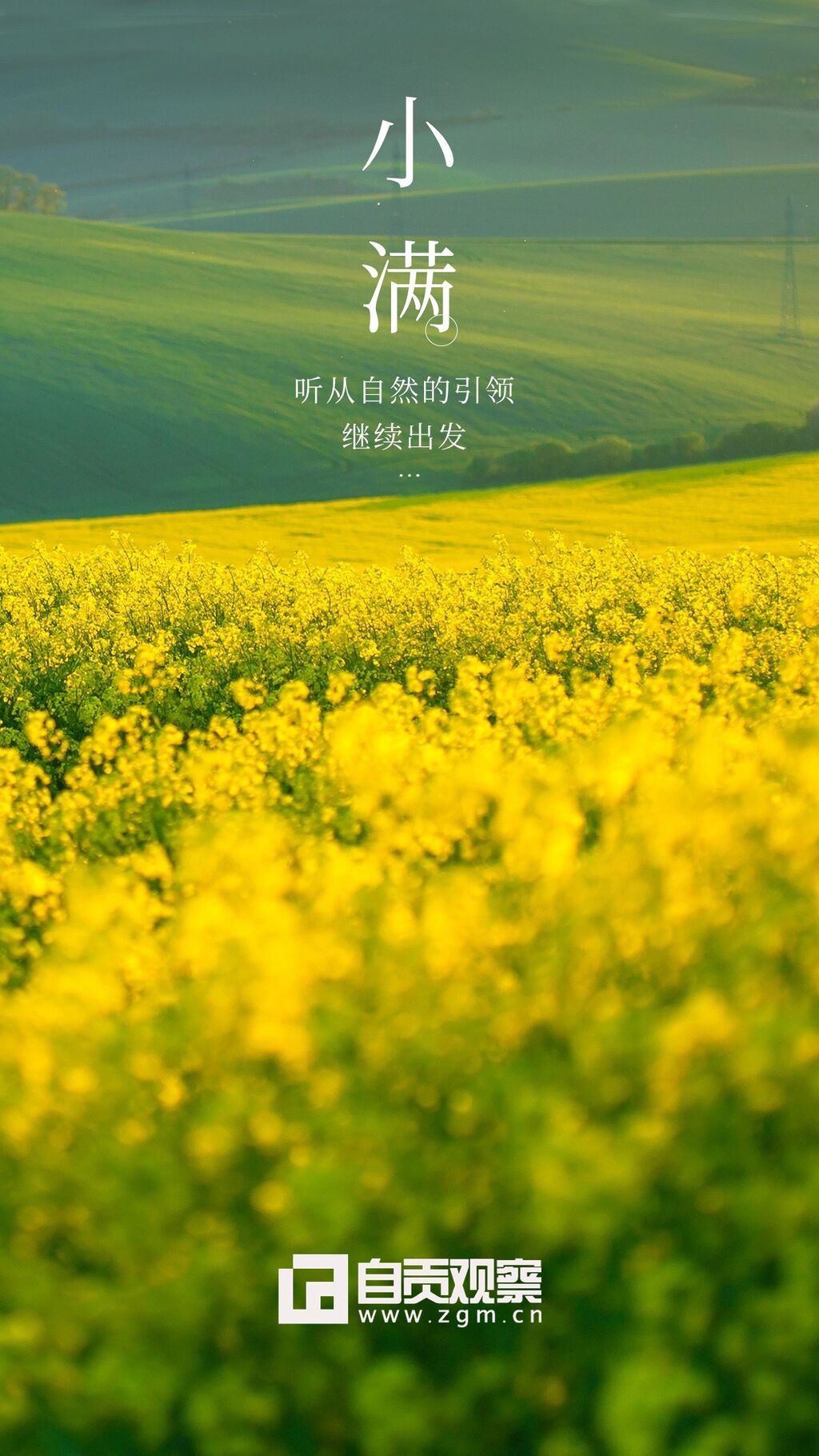 旅游旅行社小滿節(jié)氣營銷手機海報(1).jpg