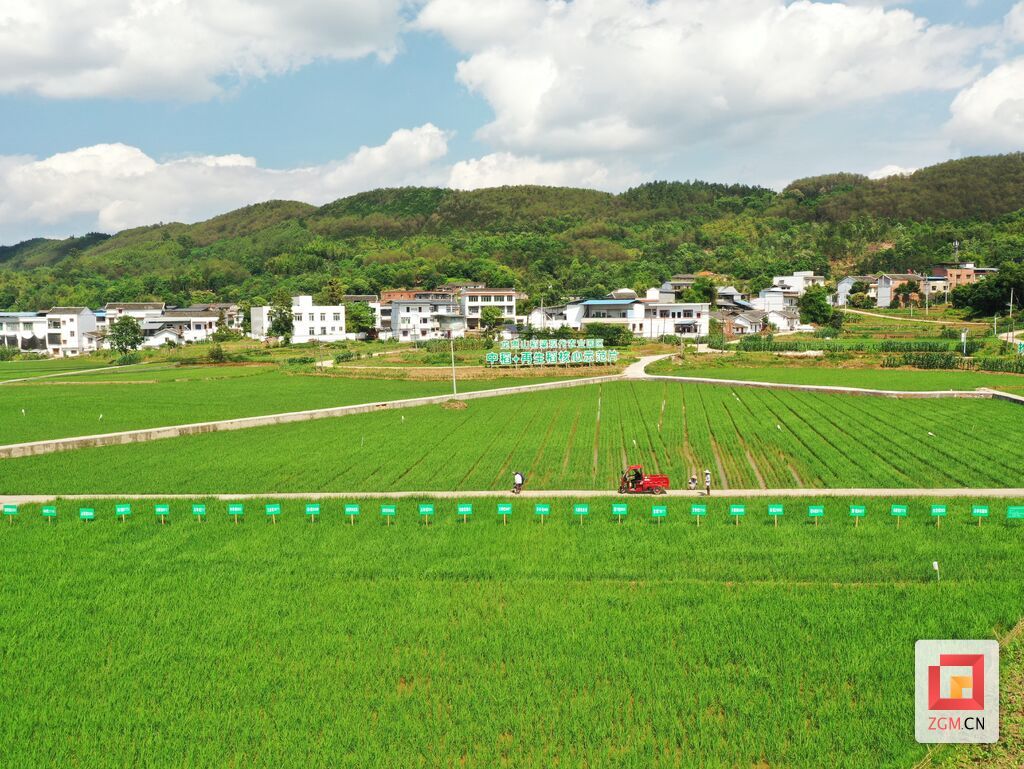 富顺县稻粱四星级现代农业园区.jpg