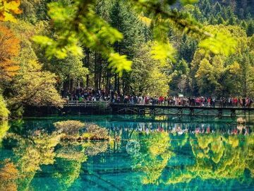 @老师们：文旅出行福利专享来了，速看！