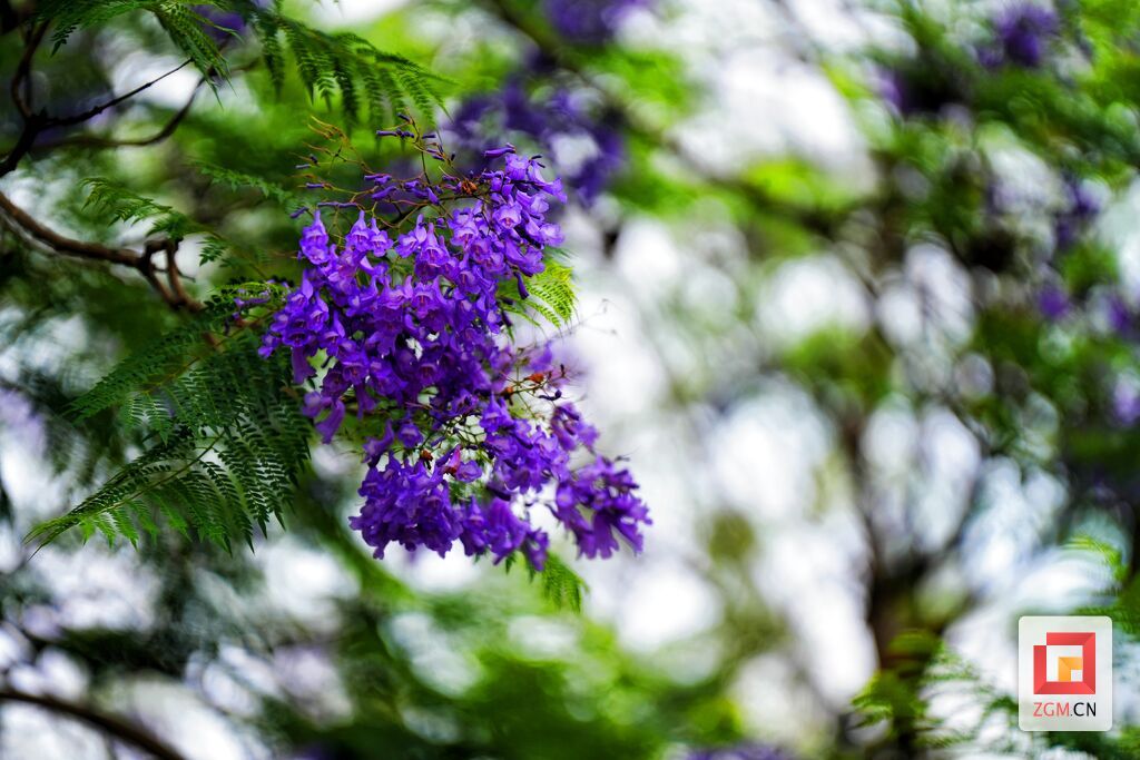 DSC06414_副本.jpg