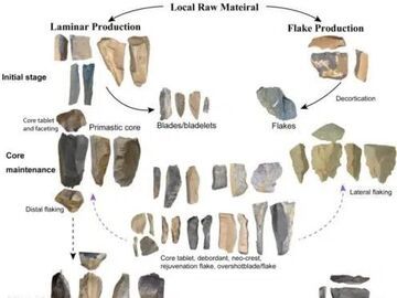 4万年前古人类如何适应青藏高原？尼阿底遗址石叶技术研究揭示