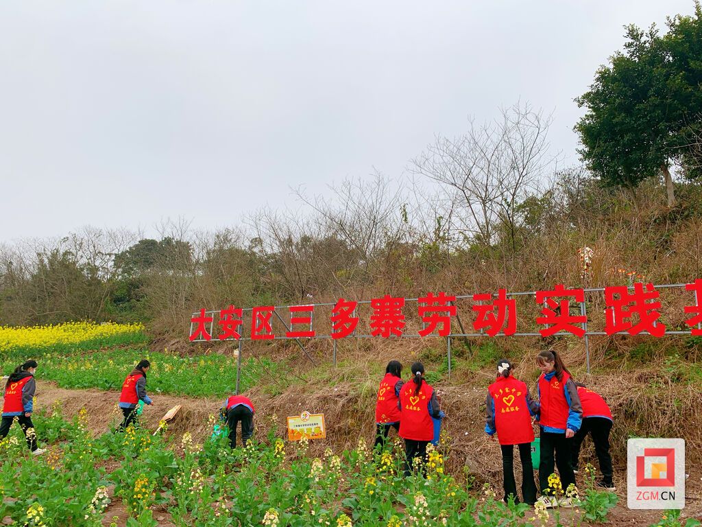微信图片_20240305092255.jpg