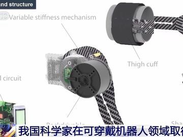 逆转肌肉萎缩！我国科学家在可穿戴机器人领域取得新进展