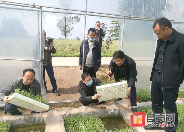图片2_副本.jpg