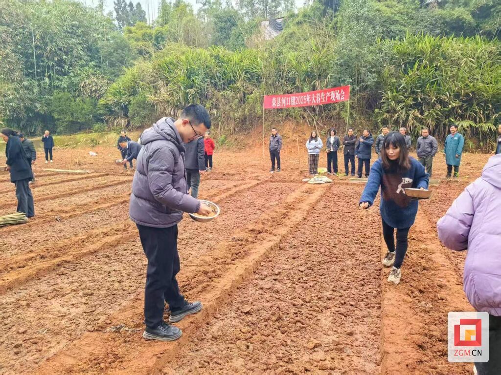 微信图片_20250312222501.jpg