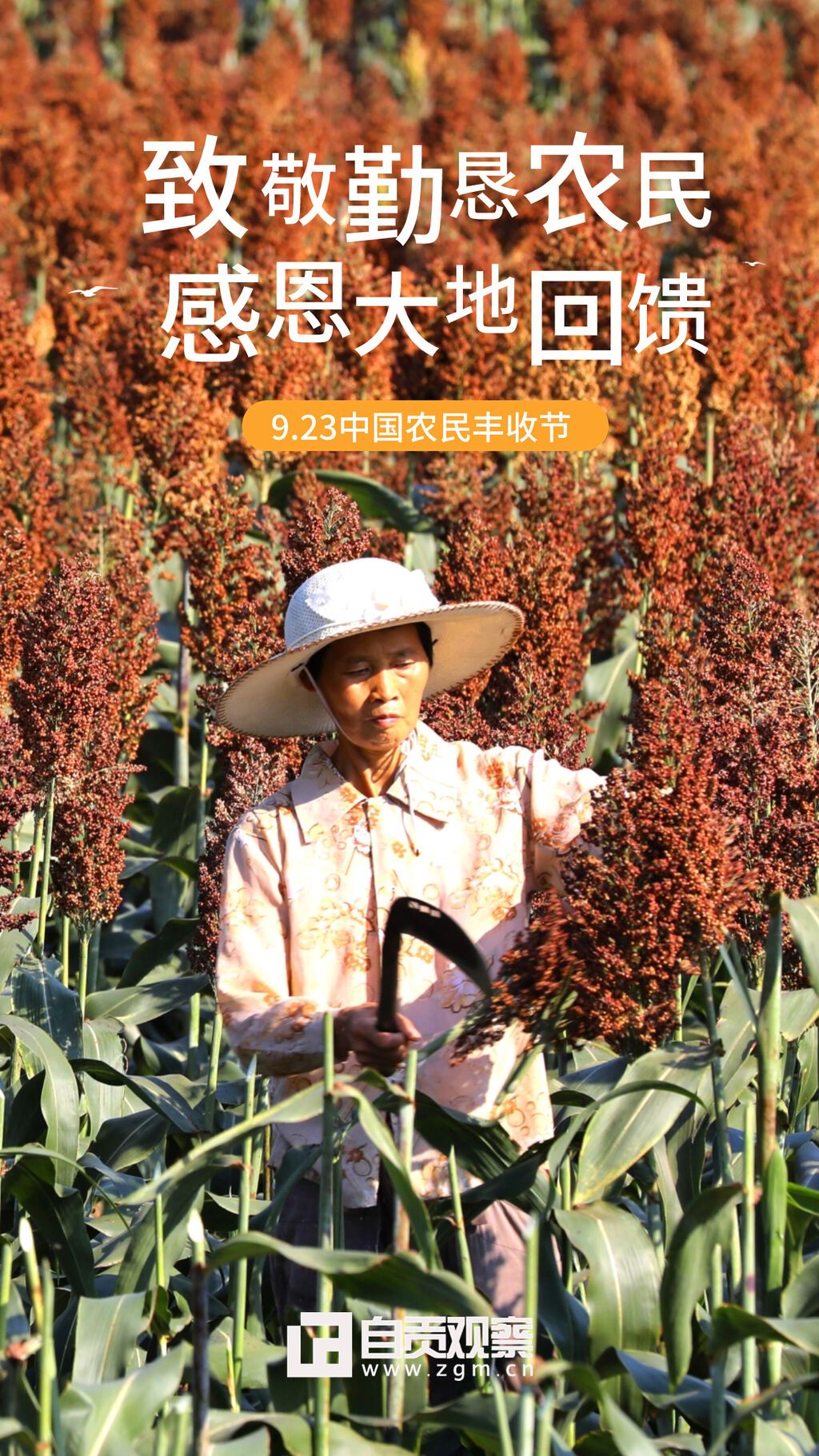 海報(bào)豐收節(jié)4.jpg