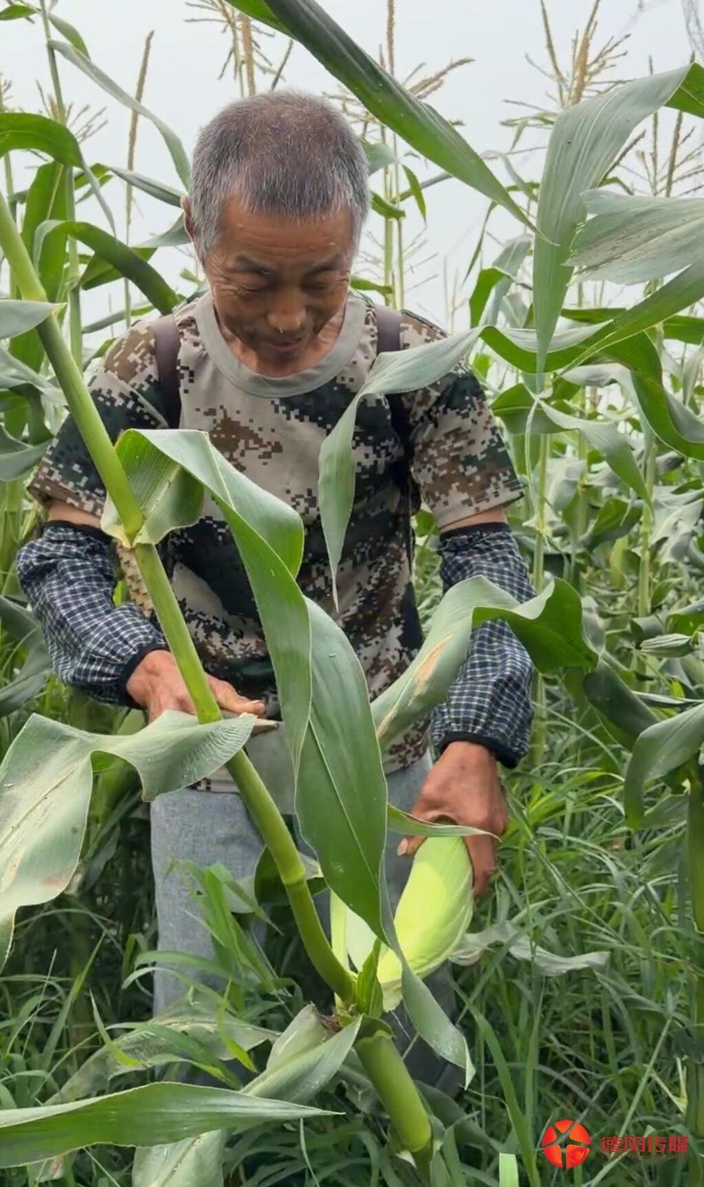 微信图片_20260618105322.jpg