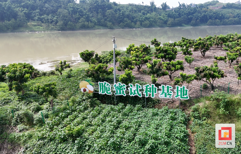 屏幕截图 2025-09-15 100456.png